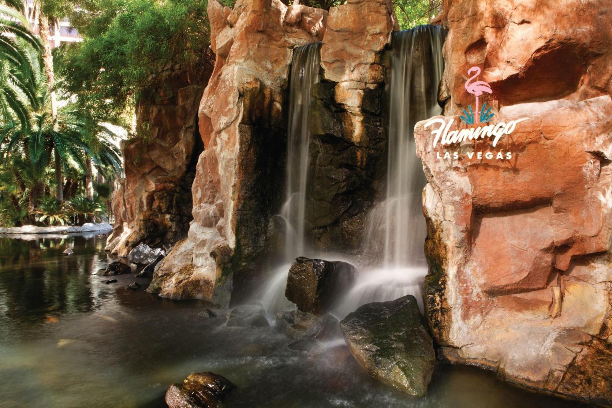 Flamingo Las Vegas Hotel & Casino Екстериор снимка